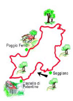 Seggiano