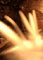 acquadisfiora