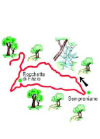 fazio